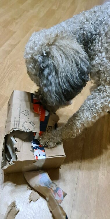 amazon-box-open.thumb.jpeg.2efdbb58449dd4c1d671a0ae02eab3a3.jpeg