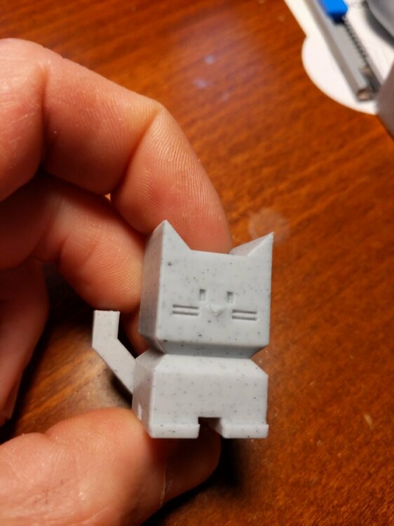 calicat-marble.thumb.jpg.6c5397e0404c28241ec0b37918d0cd8b.jpg