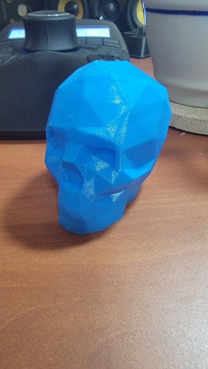 TPU_Skull_01.thumb.jpg.778479e4c5a4b06ea0c47507388e312f.jpg
