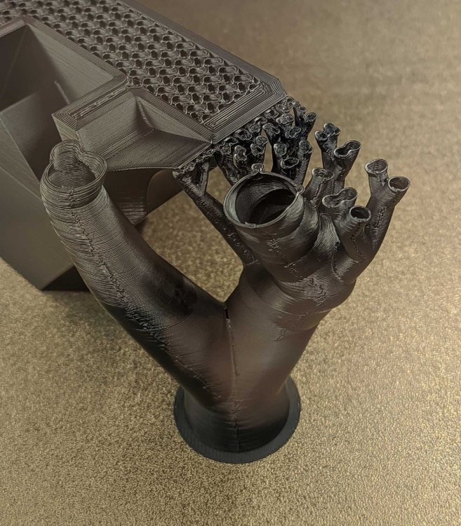 organic.thumb.jpg.815a3d43249dff2316d1f88663174763.jpg