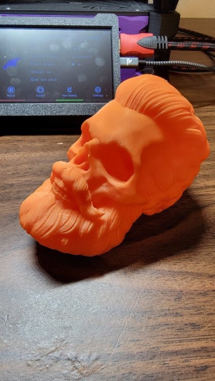 Skull_Test_01.thumb.jpg.75845eef271fd7545eeb33c8792afa26.jpg