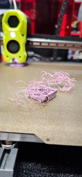 20230612_180434.thumb.jpg.e668bdf931b2d25807d5d097e50a359e.jpg