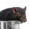 pottedporkproduct