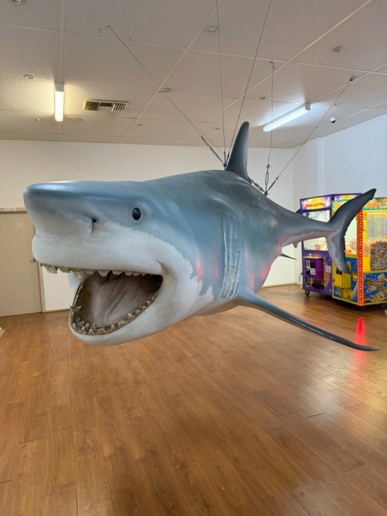 IMG_0188.thumb.jpeg.5863a9ea332819658d79ef2f79d208db.jpeg