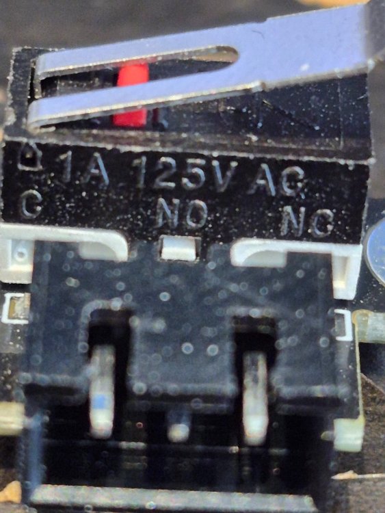 20250525_125527.thumb.jpg.5b3432124f1d628f5da1edbb72060575.jpg